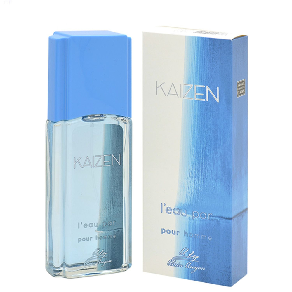 ALAIN AREGON (Positive parfum) Туалетная вода мужская KAIZEN POUR HOMME LEAU PAR, 95мл  #1