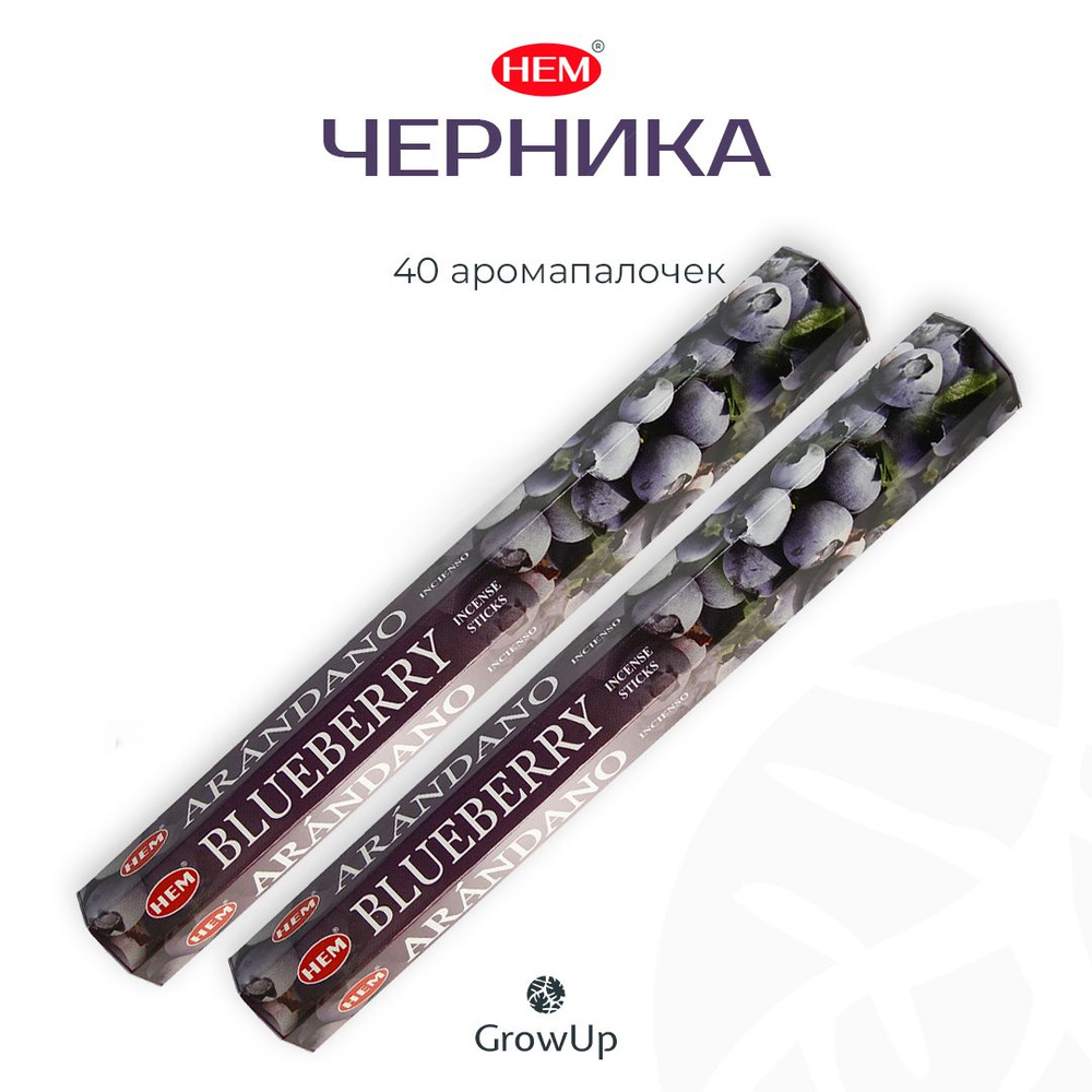 HEM Черника - 2 упаковки по 20 шт - ароматические благовония, палочки, Blueberry - Hexa ХЕМ  #1