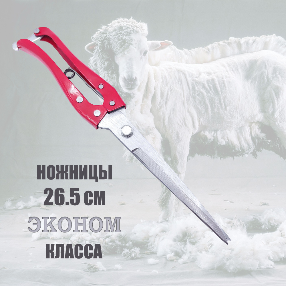 Ножницы для стрижки овец #1