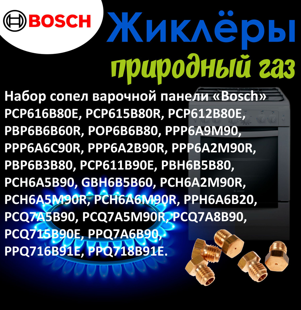 Комплект жиклеров сопел ПГ Bosch PCP, PBP, POP, PPP, PBH, PCQ.. (природный газ)  #1