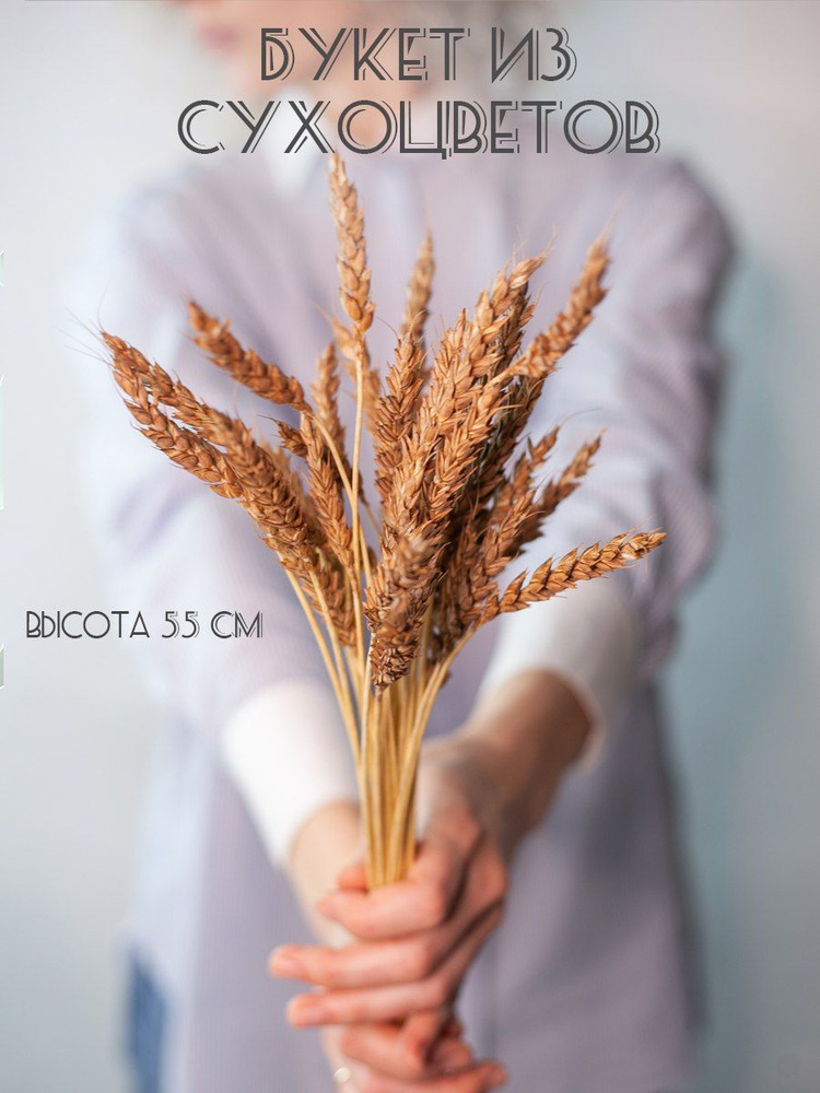 Пшеница натуральная бурая 55 см, 35 шт, букет из сухоцветов  #1
