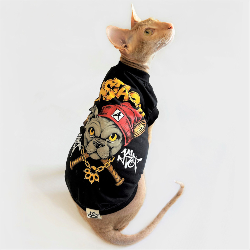 Одежда для кошек сфинкс с принтом "Gansta Cat" размер M для котов и собак мелких пород, ALFAKOT (Альфакот) #1