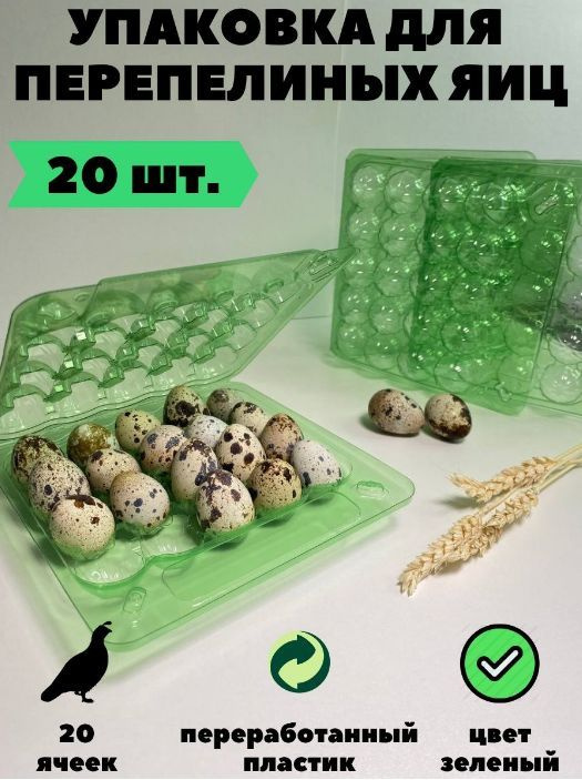 Упаковка (контейнер) для перепелиных яиц 20 ячеек. Зелёная, 20 шт/уп  #1