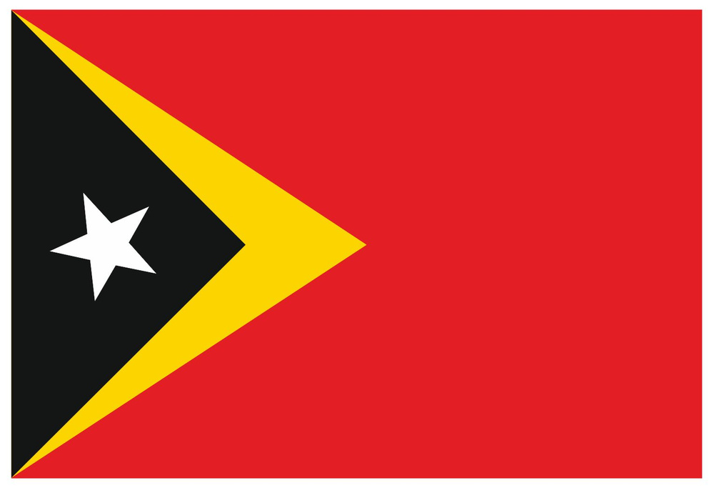 Флаг Восточного Тимора 80х120 см с люверсами #1