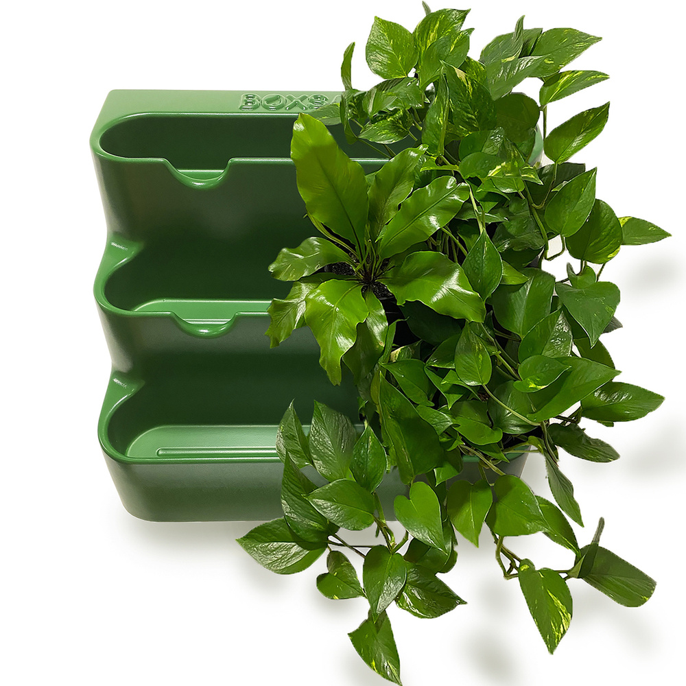 Фитомодуль "BOXSAND 12" (60х65 см) вместимость 12 растений, цвет зеленый  #1