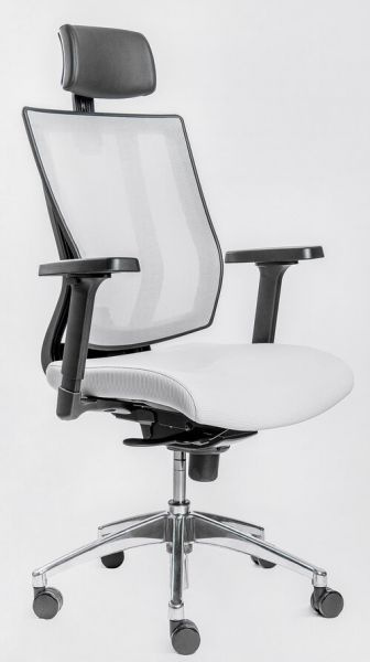Эргономичное офисное кресло Falto Promax #1