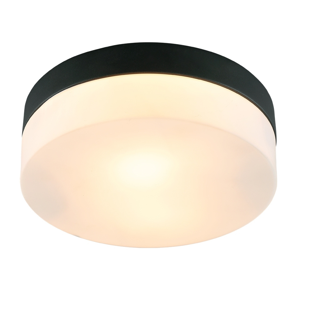 Светильник потолочный в наборе с 2 Led лампами. Комплект от Lustrof №284510-708051  #1