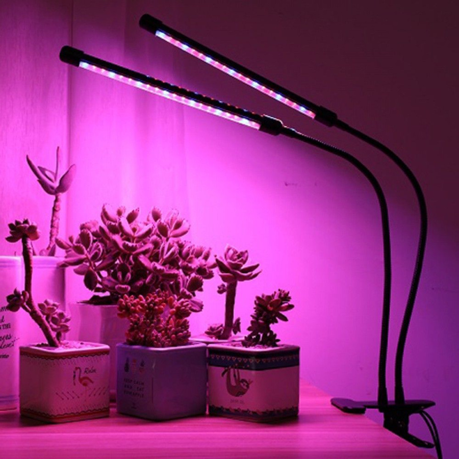 Фитолампа что это. Светильник для растений. Лампы для цветов комнатных. Фитолампа для растений. Фитолампа для комнатных растений.