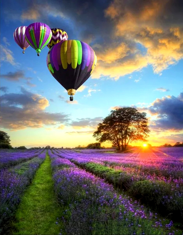 Картина по номерам на холсте с подрамником. 40x50: Colibri - воздушные шары. Лавандовое поле и яркий #1