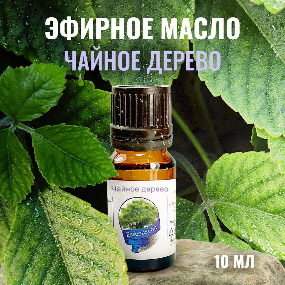 Сибирь намедойл Чайное дерево, 10 мл - 100% эфирное натуральное масло  #1