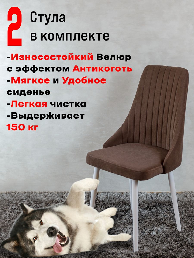 Комплект стульев для кухни Руссо, 2 шт, Шоколад с белыми ножками  #1