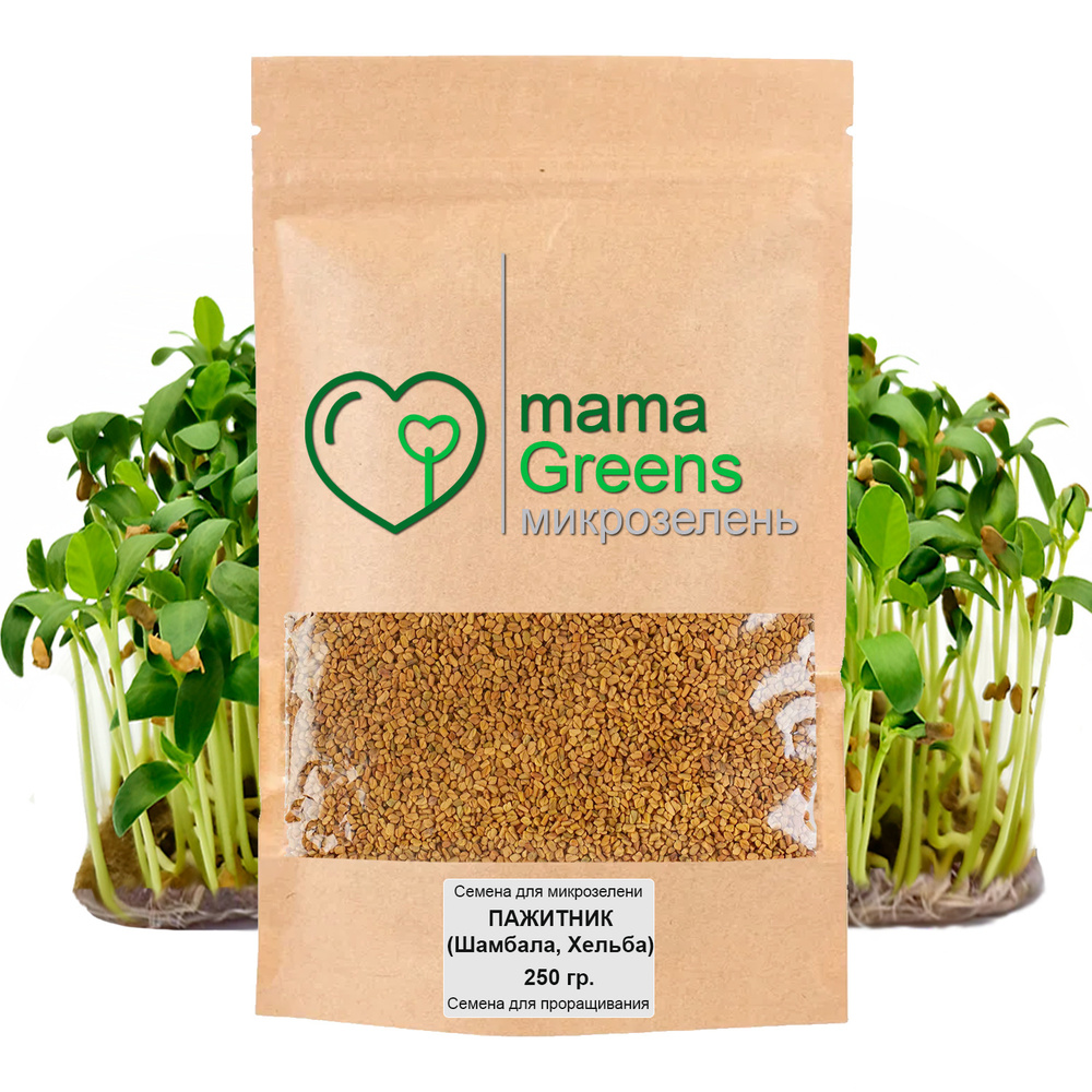 Семена Пажитник (Шамбала, Хельба) 250 гр - весовые семена для выращивания микрозелени и проращивания #1