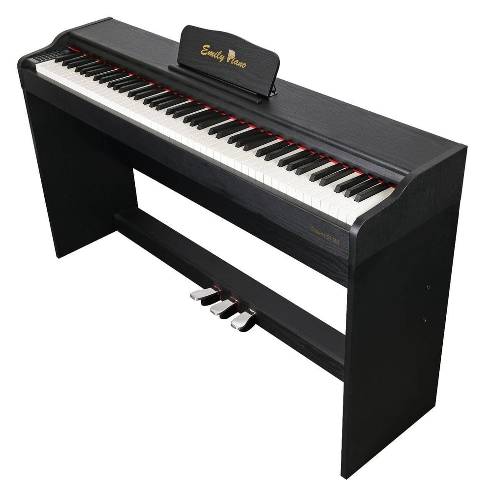 EMILY PIANO D-51 BK - Цифровое фортепиано со стойкой в комплекте  #1