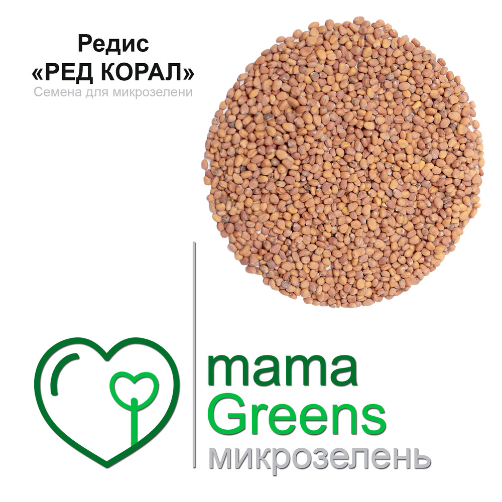 Семена Редис "Ред Корал" 25 гр - весовые семена для выращивания микрозелени и проращивания в домашних #1