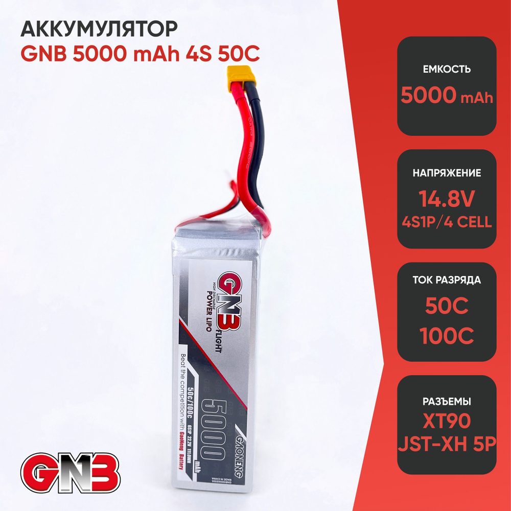 Аккумулятор литиевый-полимерный GNB 5000mah 6S 50C #1