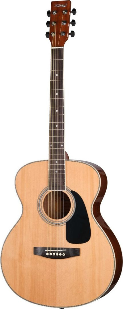 Homage Акустическая гитара h224044 #1