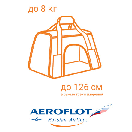 Габариты Аэрофлота для сумки-переноски в самолете 