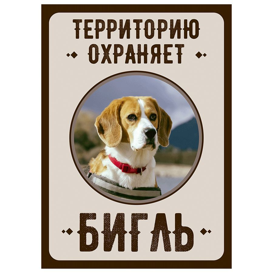 Табличка, Злая собака, Территорию охраняет Бигль, на металлической основе, 18см х 25 см, на забор, на #1