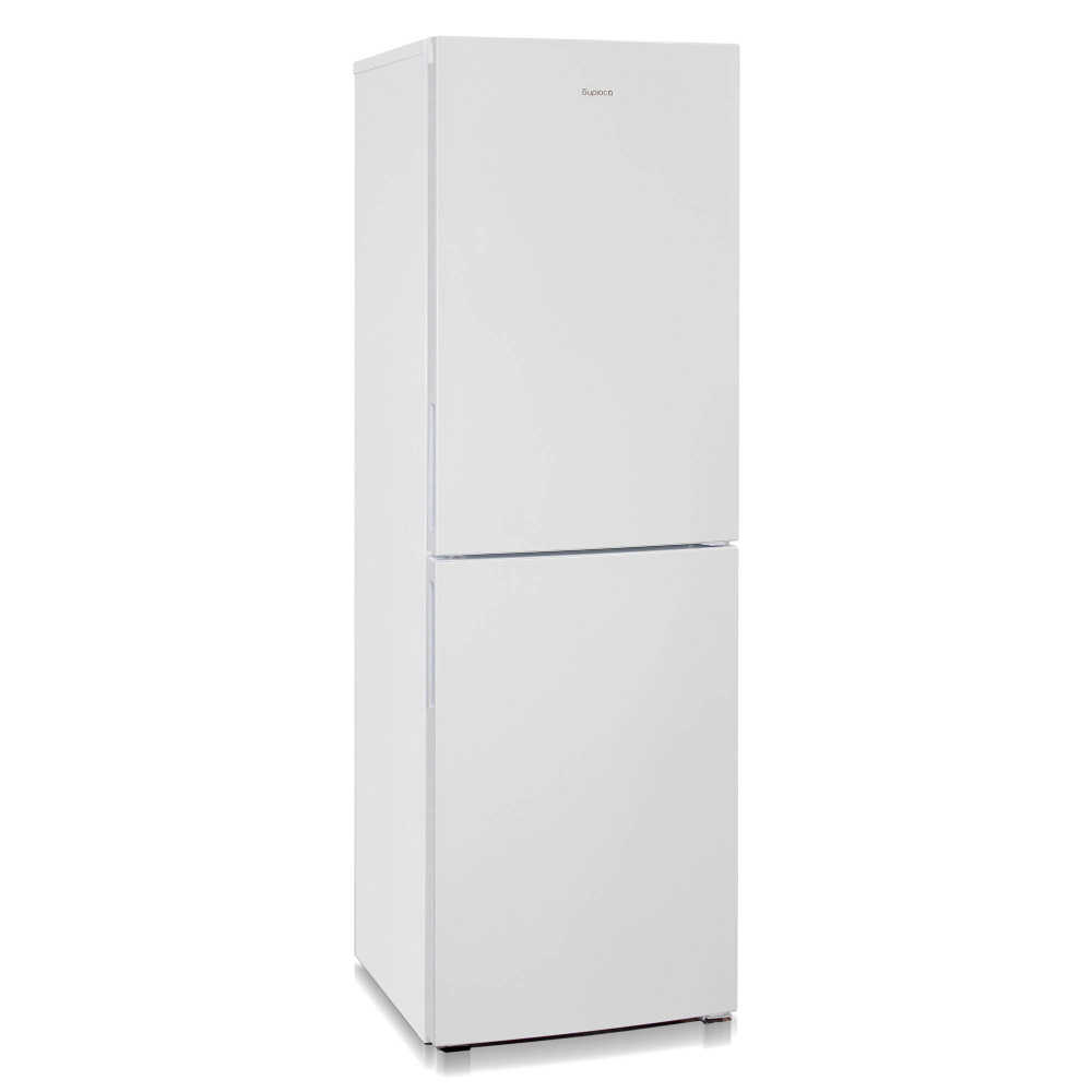 Холодильник Бирюса Б-6031 белый (двухкамерный) #1