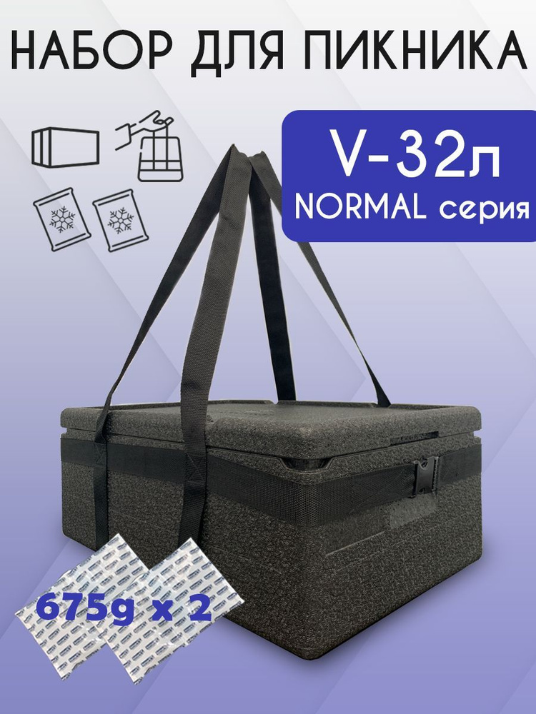 Набор для пикника 32 Normal X2 (Термоконтейнер 32 NORMAL, сумка-переноска, гелевый аккумулятор холода #1