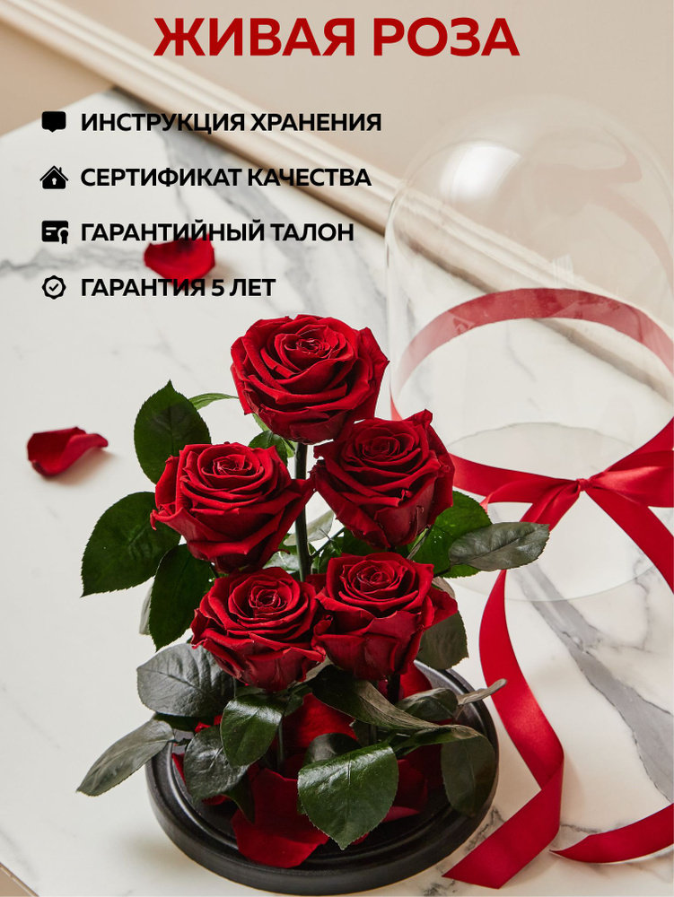 Роза в колбе живая, вечная "Букет из пяти роз PR" 32см, стабилизированные цветы, подарок маме, женщине, #1