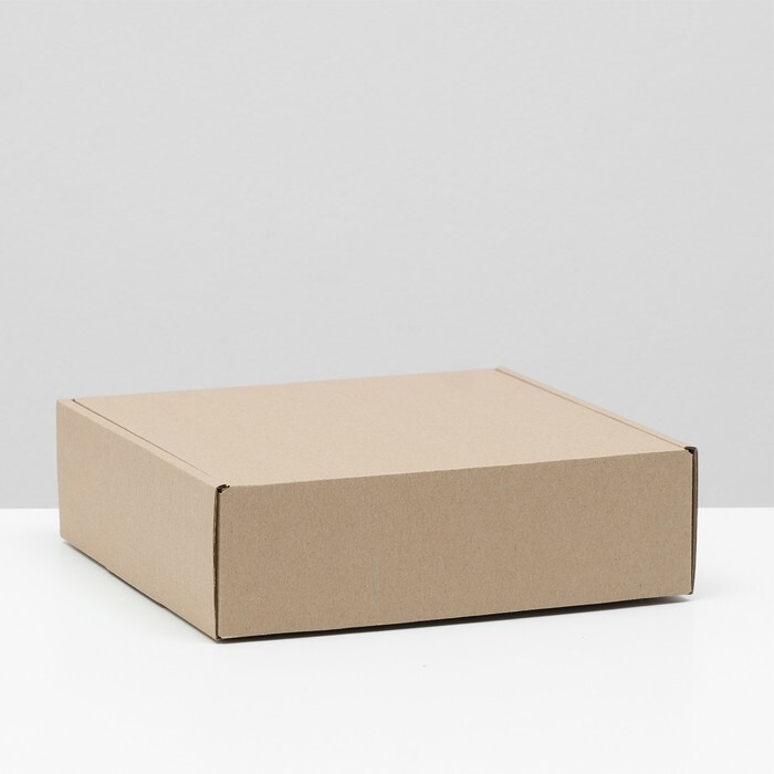 Коробка самосборная, бурая, 24 х 24 х 7,5 см #1