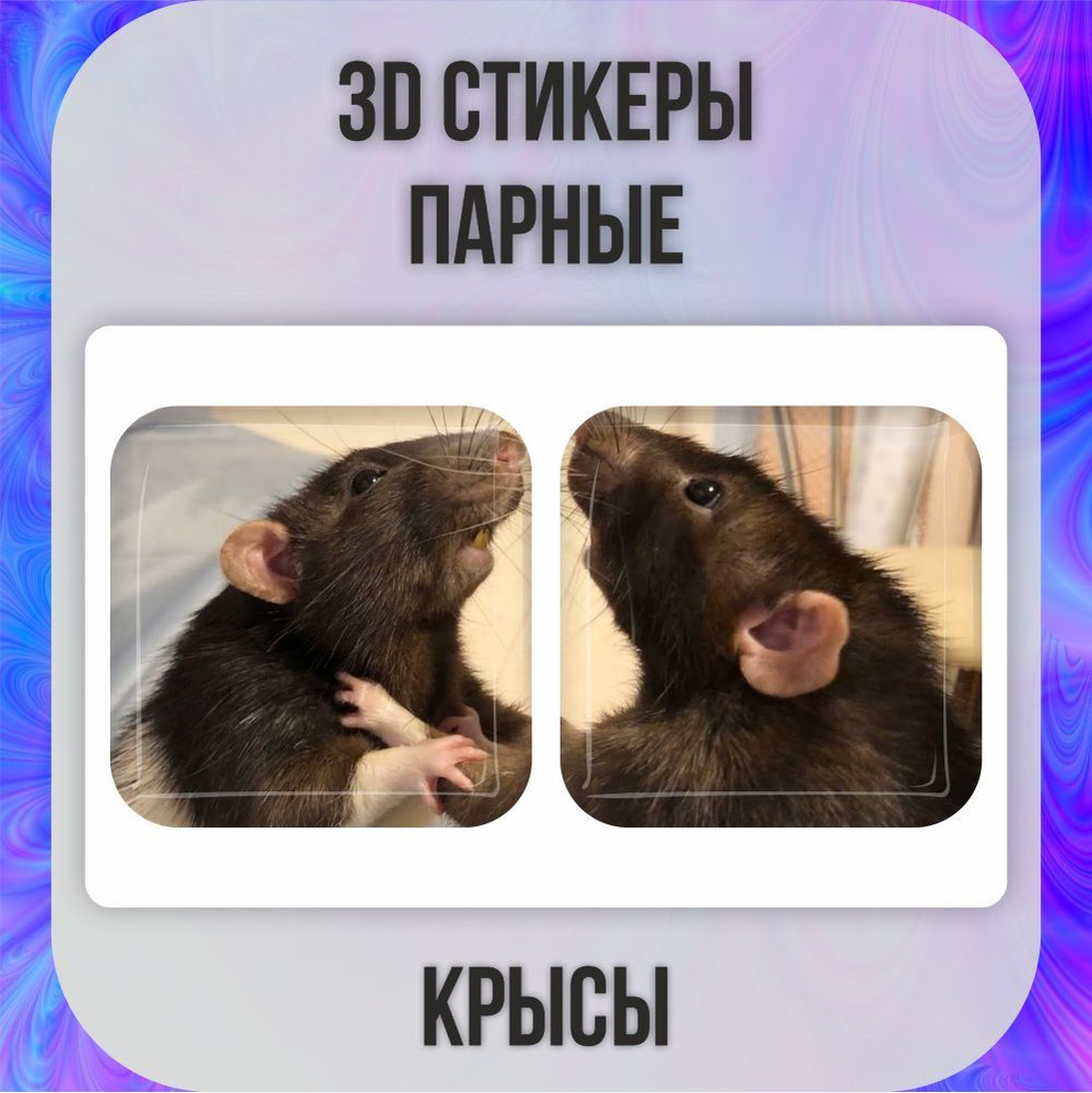 Парные 3D наклейки стикеры на телефон Крысы #1