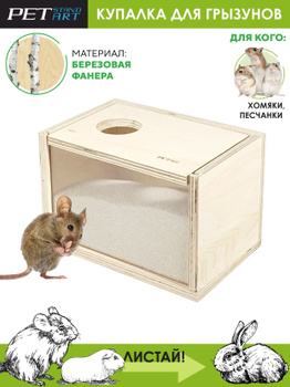 Выбор домика для мышей и крыс