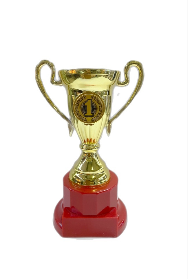 Кубок спортивный 1 место, на пластиковом основании высота 24 см, награда, приз  #1