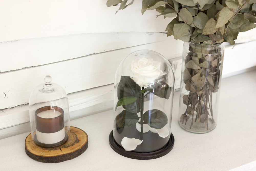 Стабилизированные цветы в стекле, Роза в колбе живая Glamur ,белая подарочный набор для женщины, долговечный #1