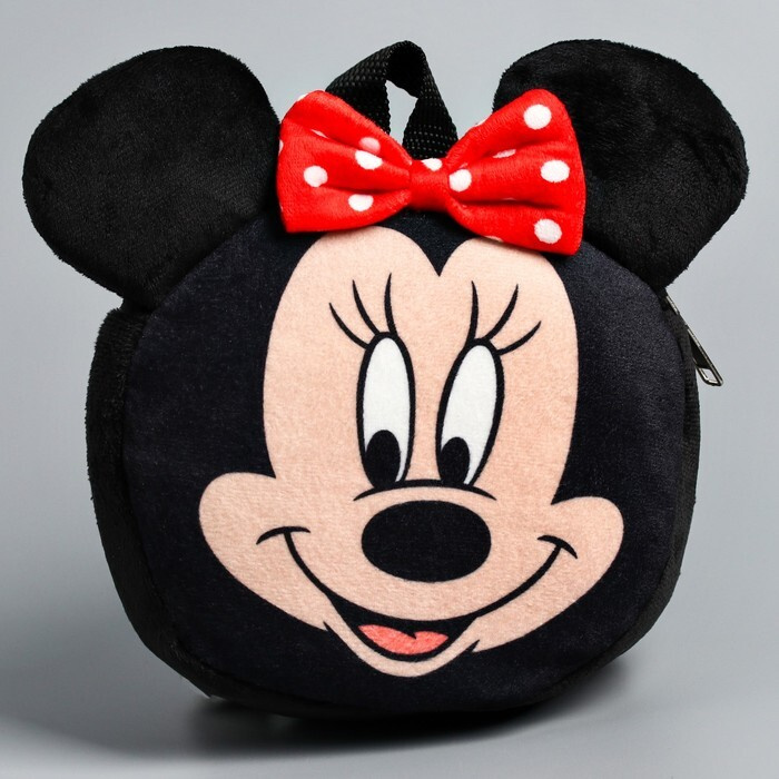 Disney Органайзер для сумки/рюкзака #1