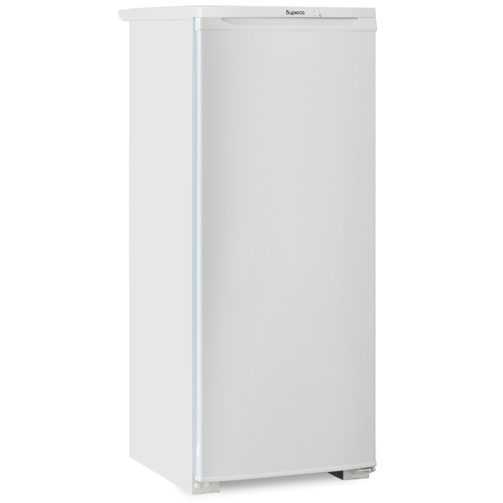 Холодильник Бирюса Б-110, белый #1