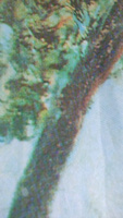 Шторы, фотошторы JoyArty "Горы Эстерель" из ткани оксфорд, 2 полотна шириной по 170 см, высота 265 см, шторная лента и крючки, степень затемнения 70% #6, Анна Ж.
