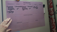 Магнитный планер с маркером Расписание уроков и занятий, PaperFox.(Ежедневник, календарь на неделю, планинг магнитная доска с поверхностью пиши-стирай на холодильник) 21х30 см #28, Ксения С.