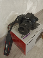 Зеркальный фотоаппарат Canon EOS 250D Kit EF-S 18-55mm f/4.0-5.6 IS STM. Черный #6, Светлана А.