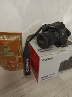 Зеркальный фотоаппарат Canon EOS 250D Kit EF-S 18-55mm f/4.0-5.6 IS STM. Черный #5, Светлана А.