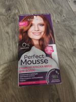 Perfect Mousse Краска для волос, 93 мл #4, Анна Ю.