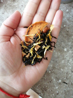 Чай черный листовой Облепиха с апельсином 50 г чайный подарок #6, Юлия П.