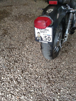 Сувенирный номер на мопед мото велосипед металлический рельефный светоотражающий с вашим регионом и изображением 190*145 мм #6, Лев Р.