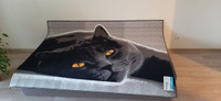 Ковер на стену, ковер-картина (кошка), размер 1.5 х 2.0 м, Витебские ковры #8, Елена Ф.