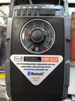 Портативный радиоприемник MAX MR-322, антрацит/Радио/AM/FM/SW/AUX #7, Щаенко Антон