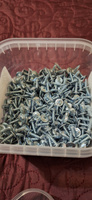 Саморезы 4,2х16 (1000 шт) по металлу клопы Li остроконечные с прессшайбой в контейнере #29, Марат Г.