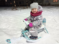 Снегокат Дэми детский со спинкой Панда СНК.10-02 для прогулок и катания с гор #2, Юлия М.
