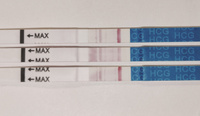 Фото тестов на беременность - Беременность и роды - вторсырье-м.рф