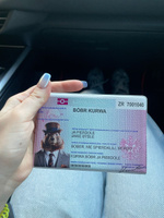 Обложка на паспорт с принтом bobr kurwa #6, Катюша Ф.