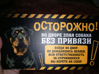 Табличка, с юмором, прикол, DANGER DOG, Осторожно! Во дворе собака без привязи, Ротвейлер 25x14 см #45, ольга ч.